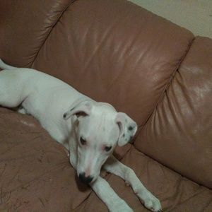 Meet your Posher, Christine